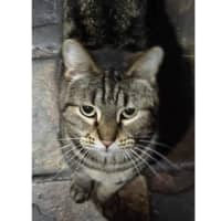 Photo of 11369   Dawn