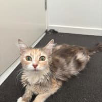 Photo of Sally