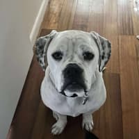 Photo of Puck