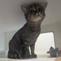 Photo of Bonnie