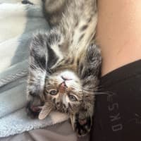 Photo of Horizon Aka "Have A Chat"