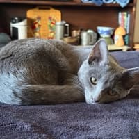 Photo of Junny