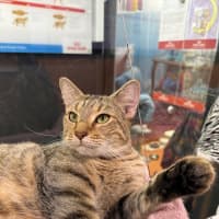 Photo of Spice