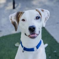 Photo of Kindred
