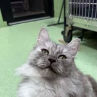Photo of Puddy