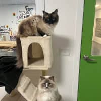 Photo of Maurice (And Dot)
