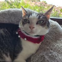 Photo of Molly / Milly