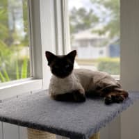 Photo of Moka
