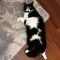 Photo of 14289   Lilith
