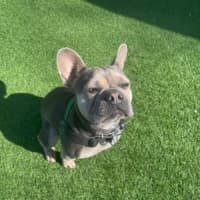 Photo of Coco