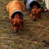 Photo of Evie And Ella