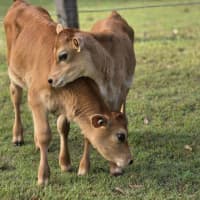Photo of Bryce & Stanley