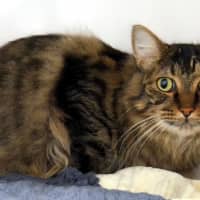 Photo of Prince Rsta013078