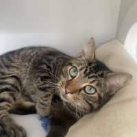 Photo of Coco