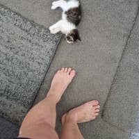 Photo of Penny
