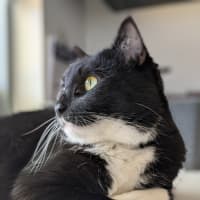 Photo of 🎈 Franklin 5629 🎈