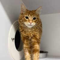 Photo of Teddy