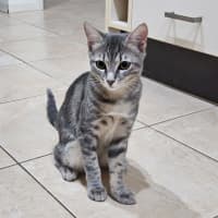 Photo of Lara