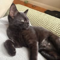 Photo of Ivy