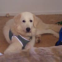 Photo of Bonnie
