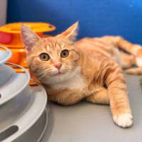 Photo of Penelope