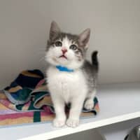 Photo of Sammy