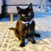 Photo of 💨Alcatraz💨