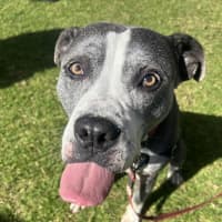 Photo of Tank