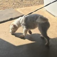 Photo of Daph