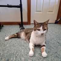 Photo of Little Girl