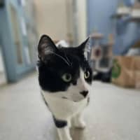 Photo of Momo