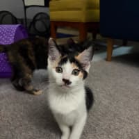 Photo of Hazel And Baby