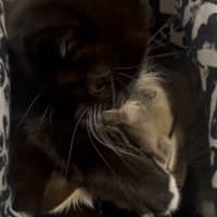 Photo of Brew
