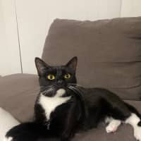 Photo of Novah