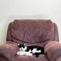 Photo of Apolo