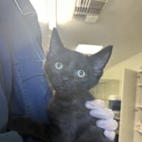 Photo of Disco