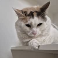 Photo of Anita