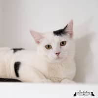 Photo of Maria