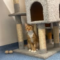 Photo of Frankie