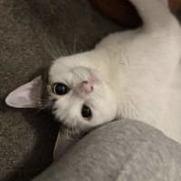 Photo of Smoosh