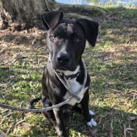 Photo of Bert