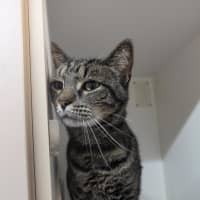 Photo of Bruce