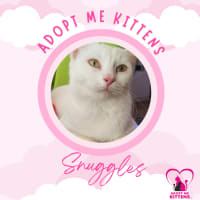 Photo of Snuggles