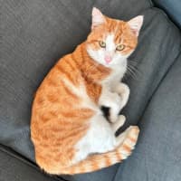 Photo of Big Red