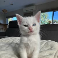 Photo of Monte