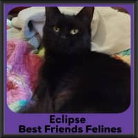 Photo of Eclipse