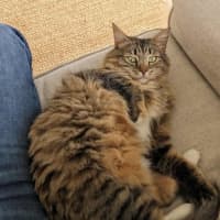 Photo of Jupiter 🩷