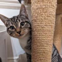 Photo of Promise
