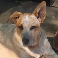 Photo of Rubi