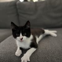 Photo of Bruce And Macey